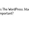 What Is The WordPress .htaccess & Its Important-Banner